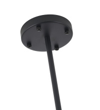 BE36C50B -6.jpg